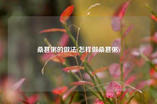 桑葚粥的做法(怎样做桑葚粥)