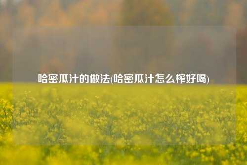 哈密瓜汁的做法(哈密瓜汁怎么榨好喝)