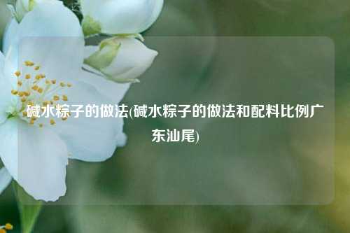 碱水粽子的做法(碱水粽子的做法和配料比例广东汕尾)