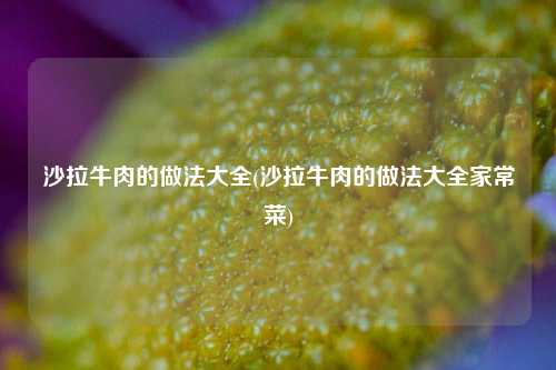 沙拉牛肉的做法大全(沙拉牛肉的做法大全家常菜)