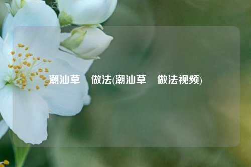 潮汕草粿做法(潮汕草粿做法视频)