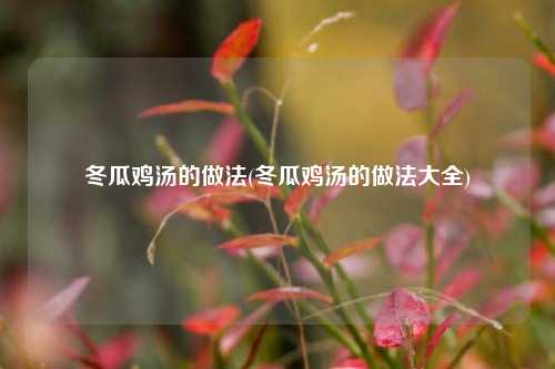 冬瓜鸡汤的做法(冬瓜鸡汤的做法大全)