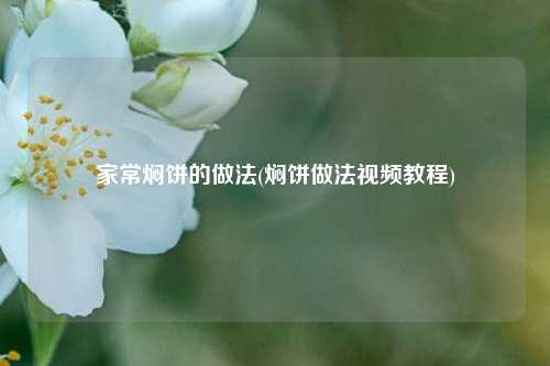 家常焖饼的做法(焖饼做法视频教程)
