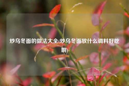 炒乌冬面的做法大全(炒乌冬面放什么调料好吃啊)