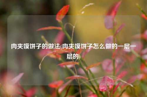 肉夹馍饼子的做法(肉夹馍饼子怎么做的一层一层的)
