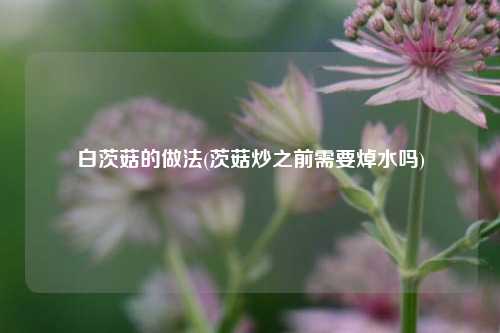 白茨菇的做法(茨菇炒之前需要焯水吗)