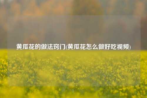黄瓜花的做法窍门(黄瓜花怎么做好吃视频)